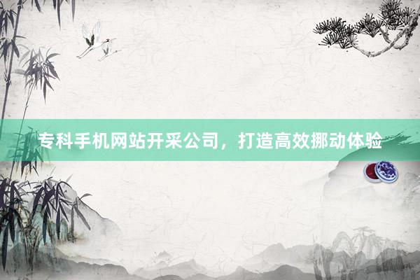 专科手机网站开采公司，打造高效挪动体验