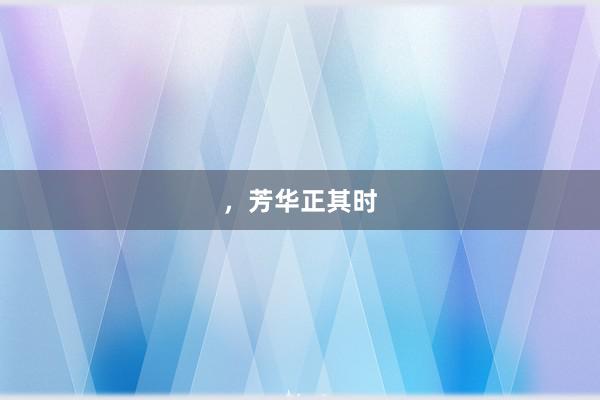 ，芳华正其时